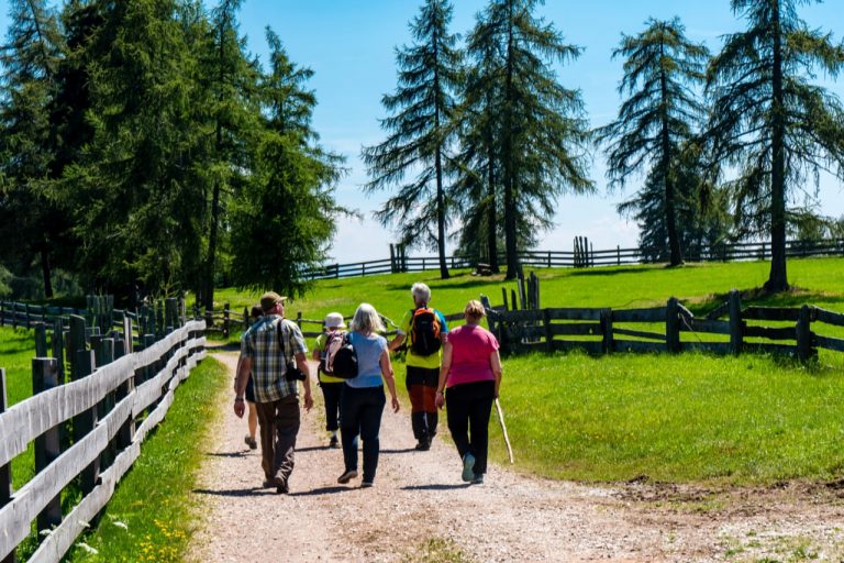 Walking Mindfully: How Nordic Walking Can Reduce Stress and Improve Focus